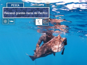 Pescasub, grandes meros del Pacífico