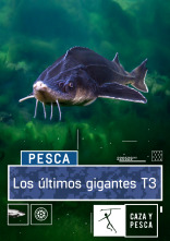 Imagen de Los últimos gigantes (T3) - 1