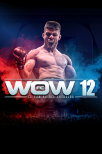 Imagen de WOW. Artes Marciales Mixtas - 1