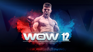 Imagen de WOW. Artes Marciales Mixtas - 2