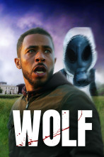 Imagen de Wolf (T1) - 1