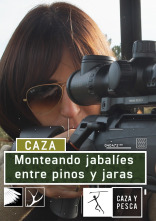 Imagen de Monteando jabalíes entre pinos y jaras - 1