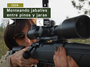 Imagen de Monteando jabalíes entre pinos y jaras - 2
