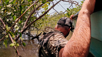 Imagen de Los últimos gigantes (T3): Ep.2 - 3
