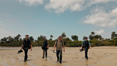 Imagen de Los últimos gigantes (T3): Ep.3 - 2
