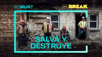 Salva y destruye (T3)