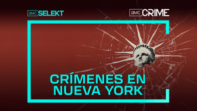 Crímenes en Nueva York: El crimen casi perfecto