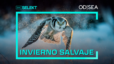 Invierno salvaje: El ciclo de la vida