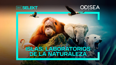 Islas: laboratorios de la naturaleza 