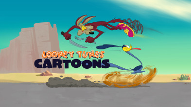 Looney Tunes Cartoons (T3)