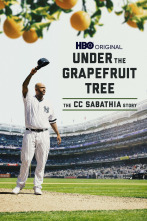 Imagen de Under the Grapefruit Tree: The CC Sabathia Story - 1
