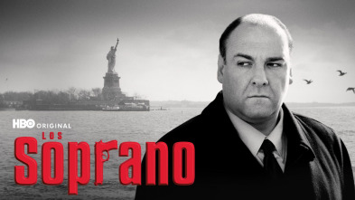 Imagen de Los Soprano (T4) - 2