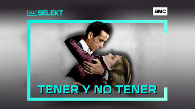 Tener y no tener