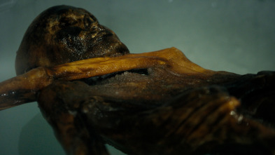 Imagen de Arqueología de la muerte: Ötzi: El caso sin resolver más antiguo del mundo - 1