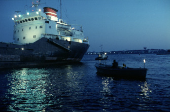 Imagen de Ariel - 11