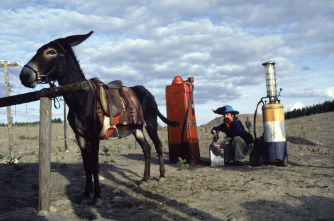 Imagen de Leningrad Cowboys Meet Moses - 10