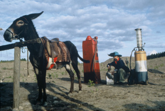 Imagen de Leningrad Cowboys Meet Moses - 14
