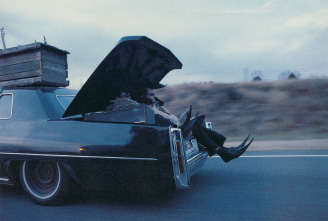 Imagen de Leningrad Cowboys Go America - 7