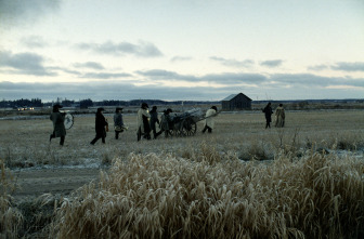 Leningrad Cowboys Go America