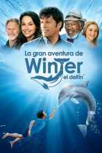 Imagen de La gran aventura de Winter el delfín - 1