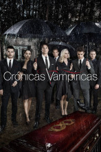 Imagen de Crónicas vampíricas (T8) - 1