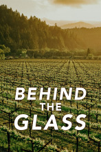 Imagen de Behind the glass (T1) - 1