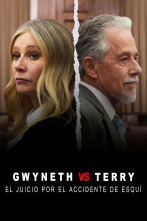 Gwyneth vs Terry: el juicio por el accidente de esquí