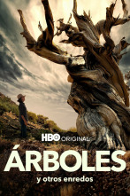 Imagen de Árboles y otros enredos - 1