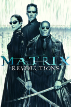 Matrix Revolutions