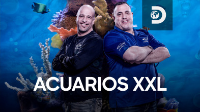 Acuarios XXL (T8)