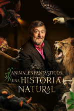 Imagen de Animales fantásticos: Una historia natural - 1
