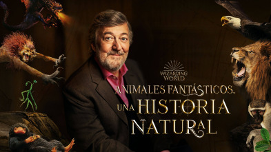 Imagen de Animales fantásticos: Una historia natural - 2