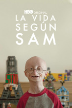 Imagen de La vida según Sam - 1