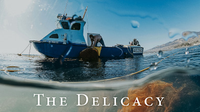 Imagen de The Delicacy - 2
