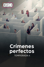 Imagen de Crims Perfectes (T4) - 1
