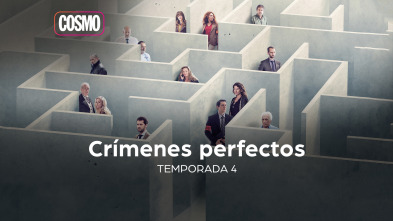Imagen de Crims Perfectes (T4) - 2