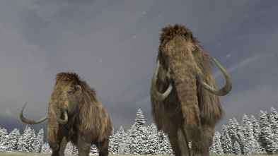 Imagen de Bestias del pasado: Mamut - 1