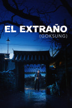 Imagen de El extraño - 1