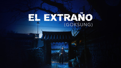 Imagen de El extraño - 2