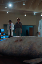 Imagen de (LSE) - Bellas artes (T1): Ep.3  - 7