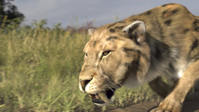 Bestias del pasado: Tigre dientes de sable