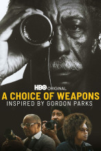 A Choice of Weapons: Inspired by Gordon Parks