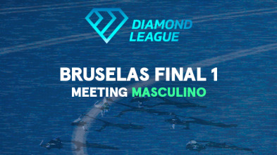 Meeting: Bruselas. Final 1