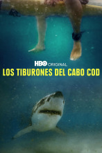Imagen de Los tiburones del Cabo Cod - 1