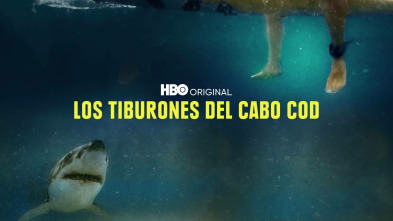 Imagen de Los tiburones del Cabo Cod - 2
