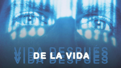 Imagen de Vida después de la vida - 2