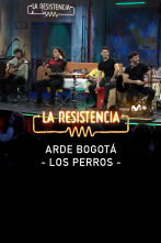Imagen de Lo + de las... (T7): Los perros de Arde Bogotá 11.04.24 - 1