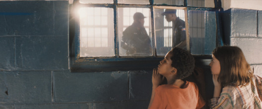 Imagen de Thabo y el caso del rinoceronte - 12