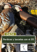 Imagen de Perdices y becadas con el 20 - 1