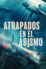 Imagen de Atrapados en el abismo - 1